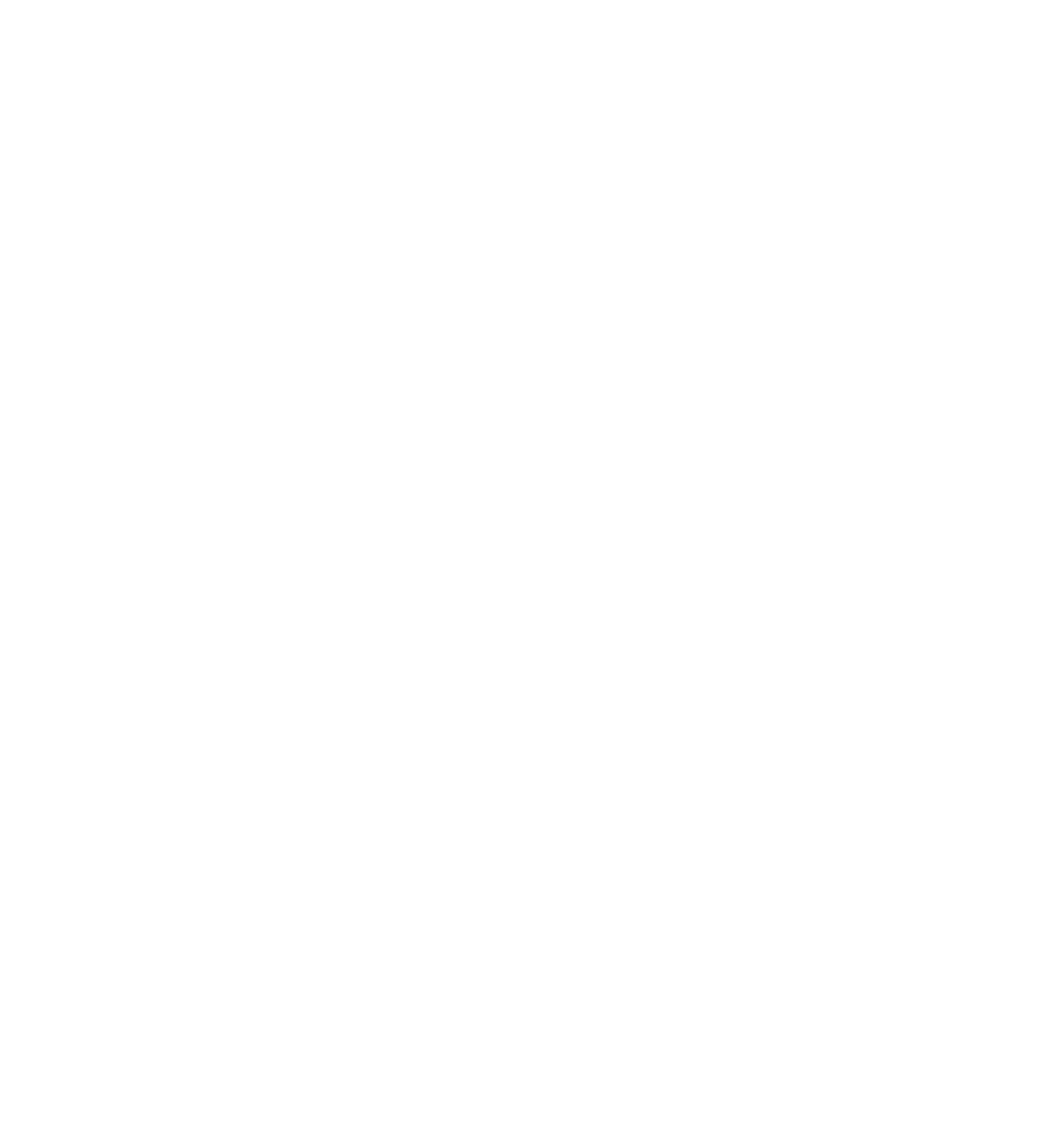 2022 Travellers' Choice award logo white